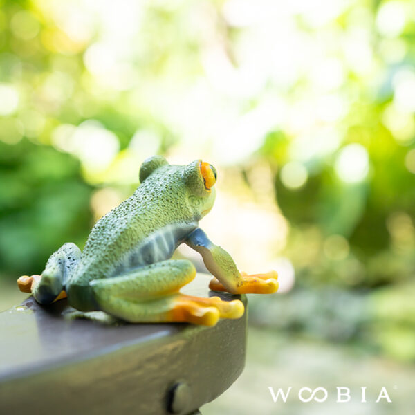 お目々がかわいいカエル《 アカメアマガエル 5.5cm》 - 画像 (4)