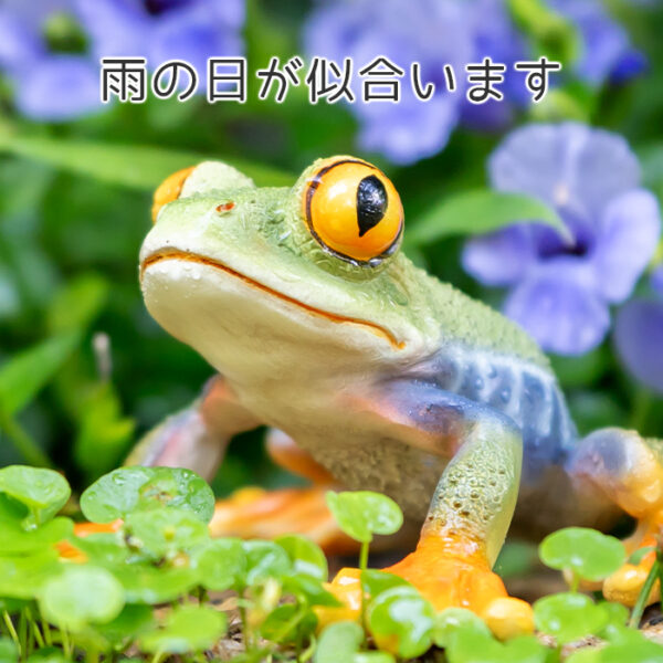 お目々がかわいいカエル《 アカメアマガエル 5.5cm》 - 画像 (6)