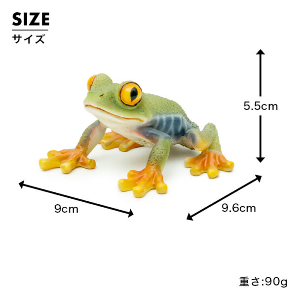 お目々がかわいいカエル《 アカメアマガエル 5.5cm》 - 画像 (9)