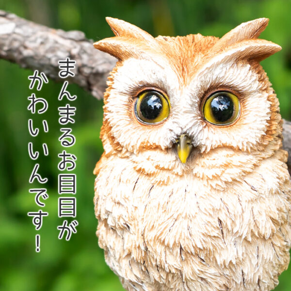 ちょこんと立つフクロウの子供《 トラフズク 13.5cm》 - 画像 (6)