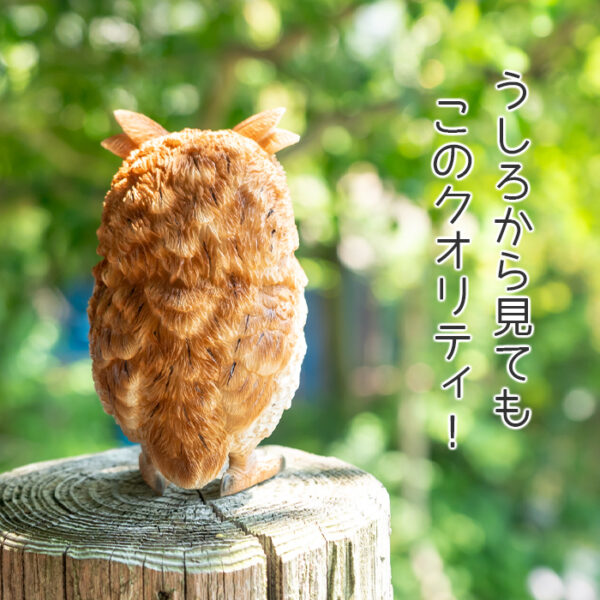 ちょこんと立つフクロウの子供《 トラフズク 13.5cm》 - 画像 (7)