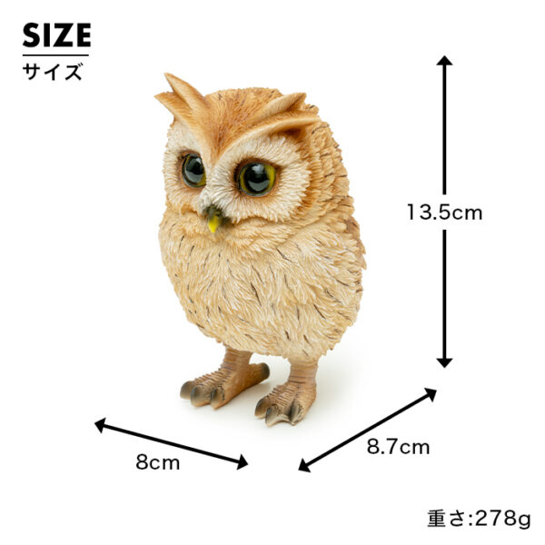 ちょこんと立つフクロウの子供《 トラフズク 13.5cm》 - 画像 (9)