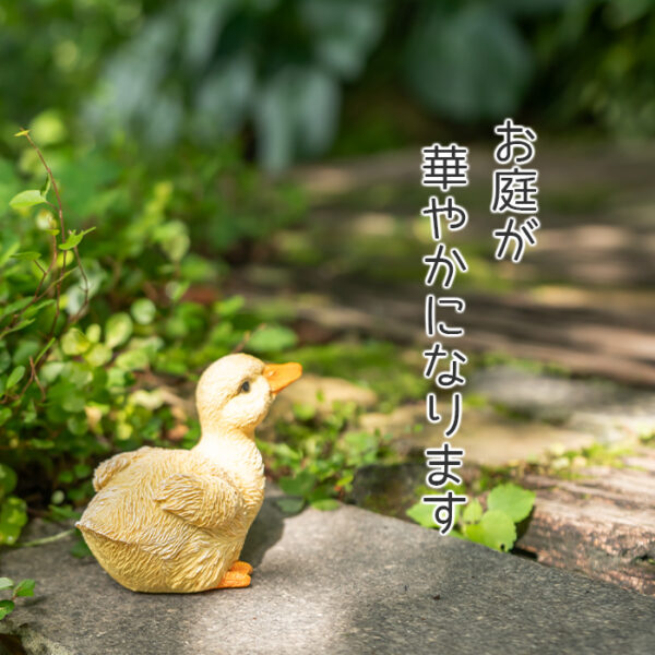 座って上を向くアヒルの子供《 シロアヒル 7.8cm》 - 画像 (5)