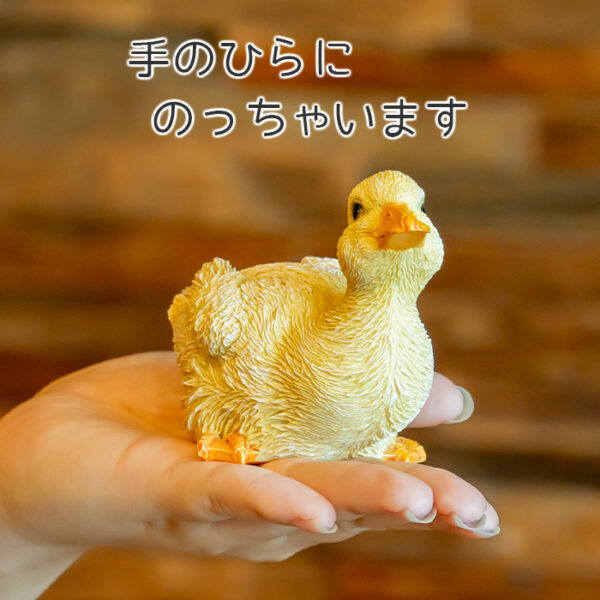 座って上を向くアヒルの子供《 シロアヒル 7.8cm》 - 画像 (8)