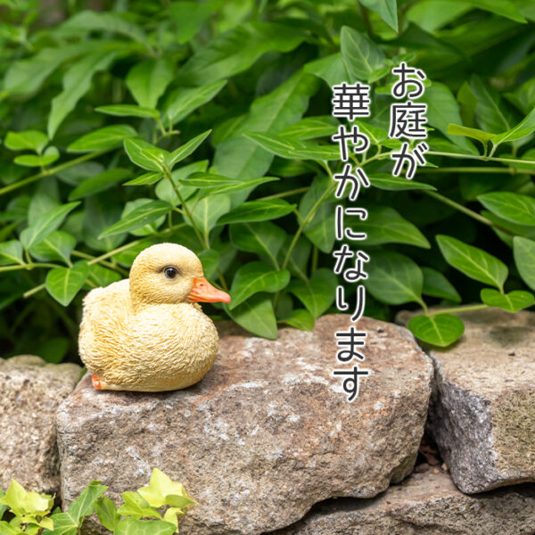 座って横を向くアヒルの子供《 シロアヒル 6cm》 - 画像 (5)