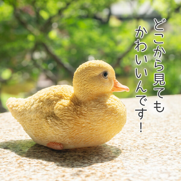 座って横を向くアヒルの子供《 シロアヒル 6cm》 - 画像 (7)
