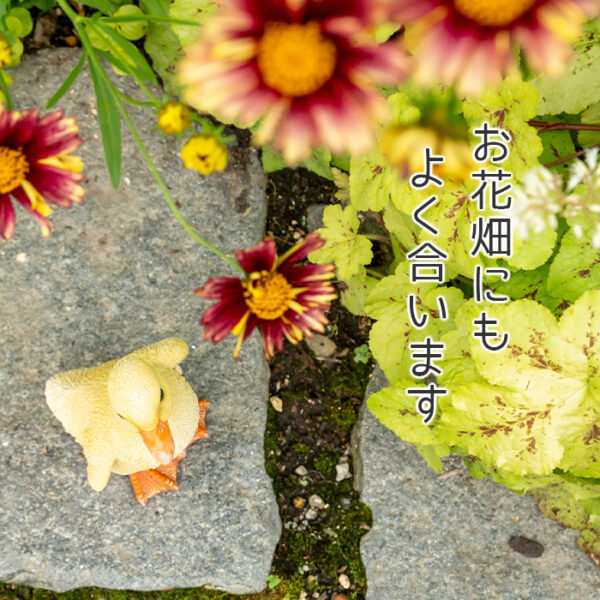 立ち上がったアヒルの子供《 シロアヒル 13cm》 - 画像 (5)