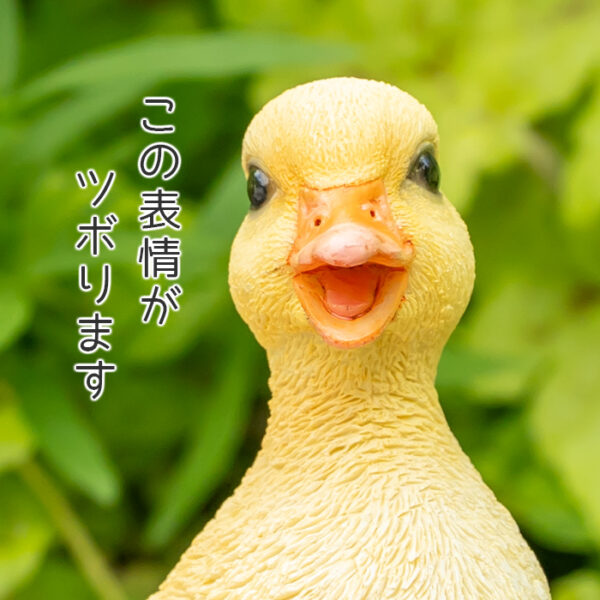 立ち上がったアヒルの子供《 シロアヒル 13cm》 - 画像 (6)