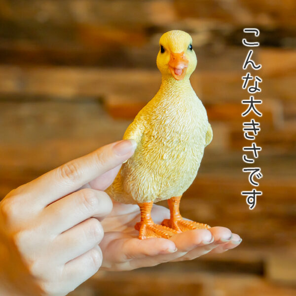 立ち上がったアヒルの子供《 シロアヒル 13cm》 - 画像 (8)