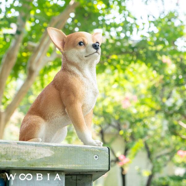 ちょこんと座るわんこ《 チワワ 23.5cm》