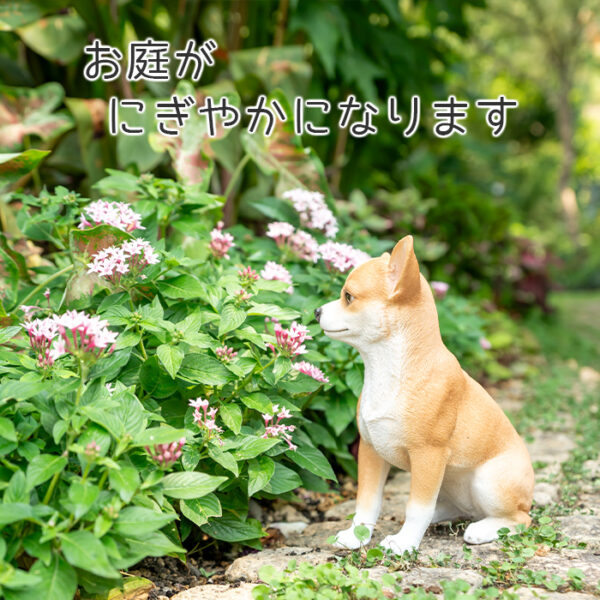 ちょこんと座るわんこ《 チワワ 23.5cm》