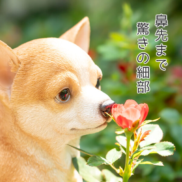 ちょこんと座るわんこ《 チワワ 23.5cm》