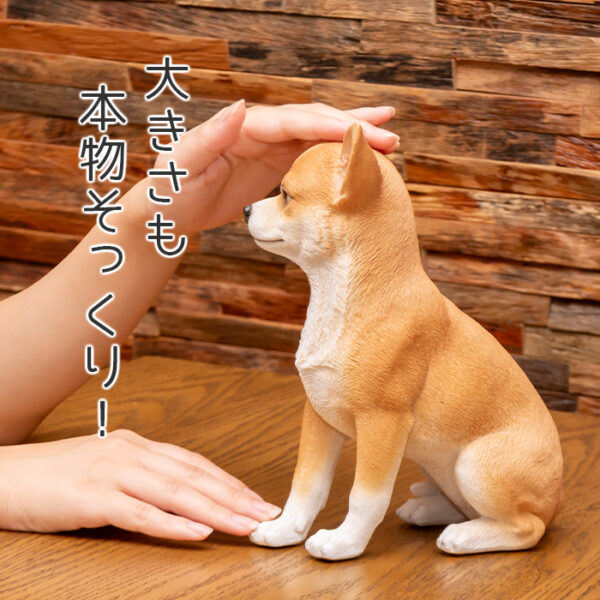 ちょこんと座るわんこ《 チワワ 23.5cm》