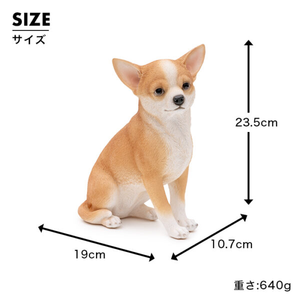 ちょこんと座るわんこ《 チワワ 23.5cm》