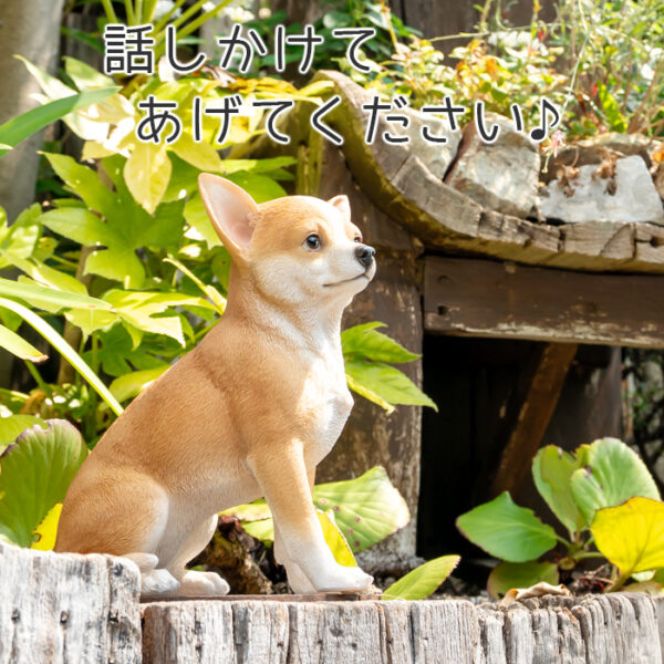 ちょこんと座るわんこ《 チワワ 23.5cm》