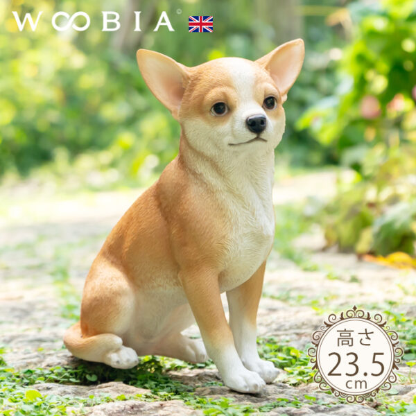 ちょこんと座るわんこ《 チワワ 23.5cm》