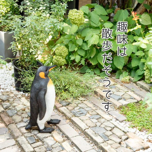 一歩ずつ歩くペンギンくん《 オウサマペンギン 61.5cm》