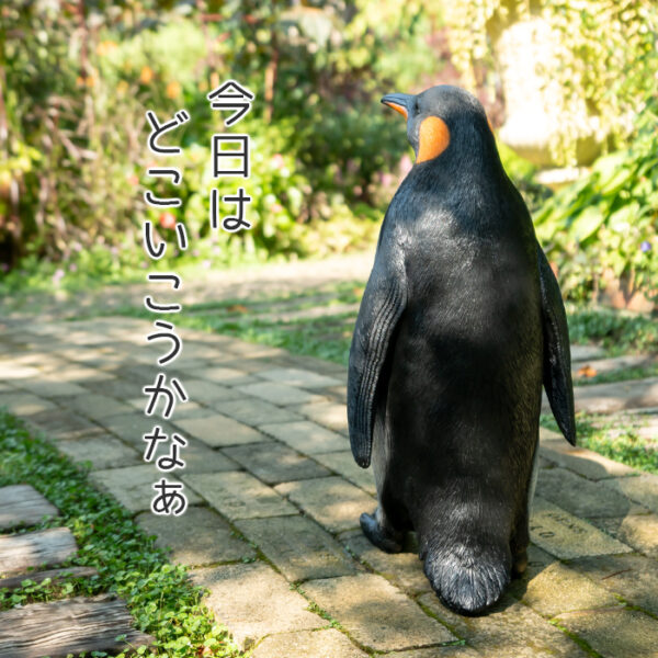 一歩ずつ歩くペンギンくん《 オウサマペンギン 61.5cm》