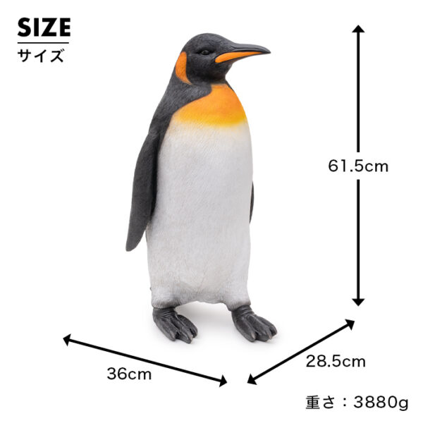 一歩ずつ歩くペンギンくん《 オウサマペンギン 61.5cm》