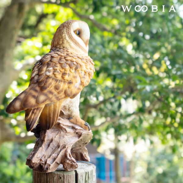 木に留まるメンフクロウ《 面梟 35.8cm》
