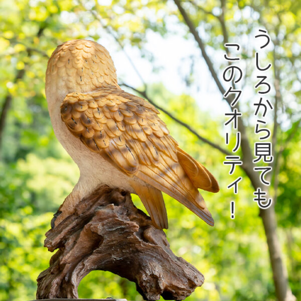 木に留まるメンフクロウ《 面梟 35.8cm》
