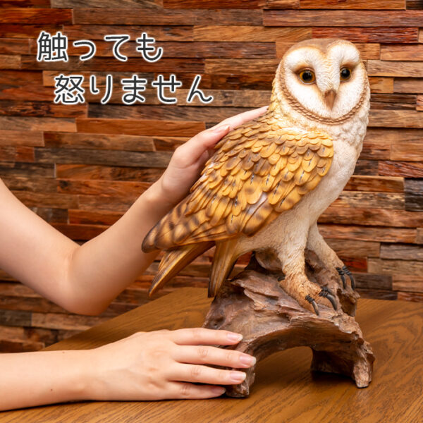 木に留まるメンフクロウ《 面梟 35.8cm》