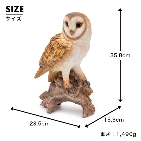 木に留まるメンフクロウ《 面梟 35.8cm》