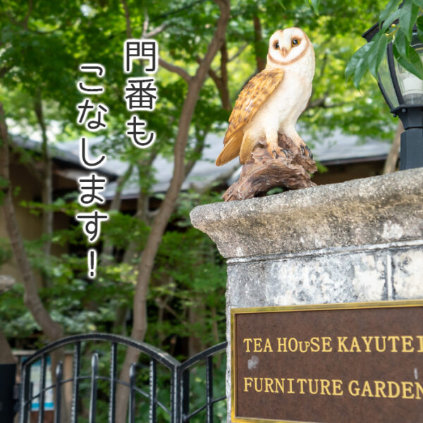 木に留まるメンフクロウ《 面梟 35.8cm》