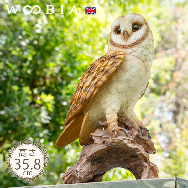 木に留まるメンフクロウ《 面梟 35.8cm》